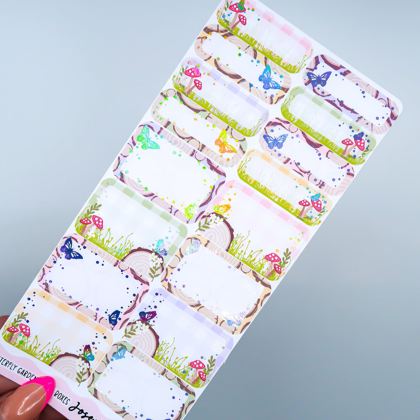 Butterfly Garden | Mixed Boxes