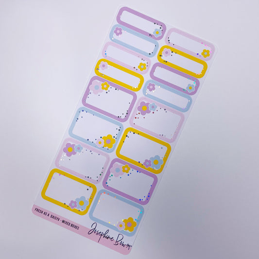Fresh as a Daisy | Mixed Boxes