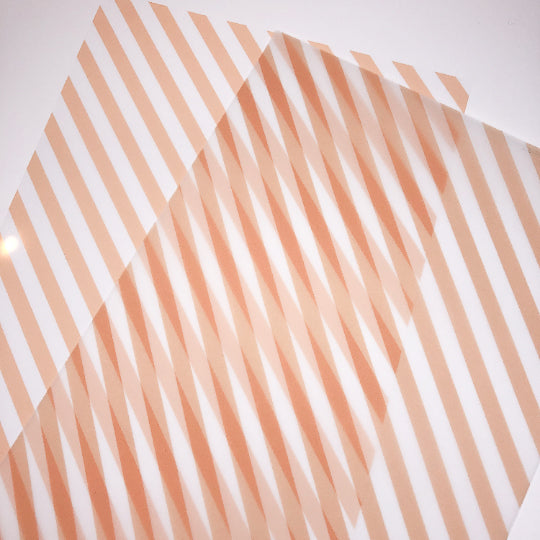 Spooktacular | Orange Candy Vellum and Acetate