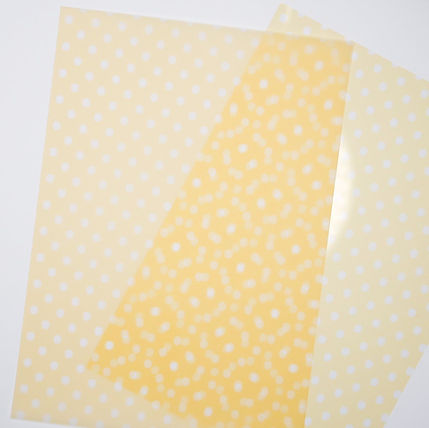 Daisy Chain | Polkadot Vellum & Acetate