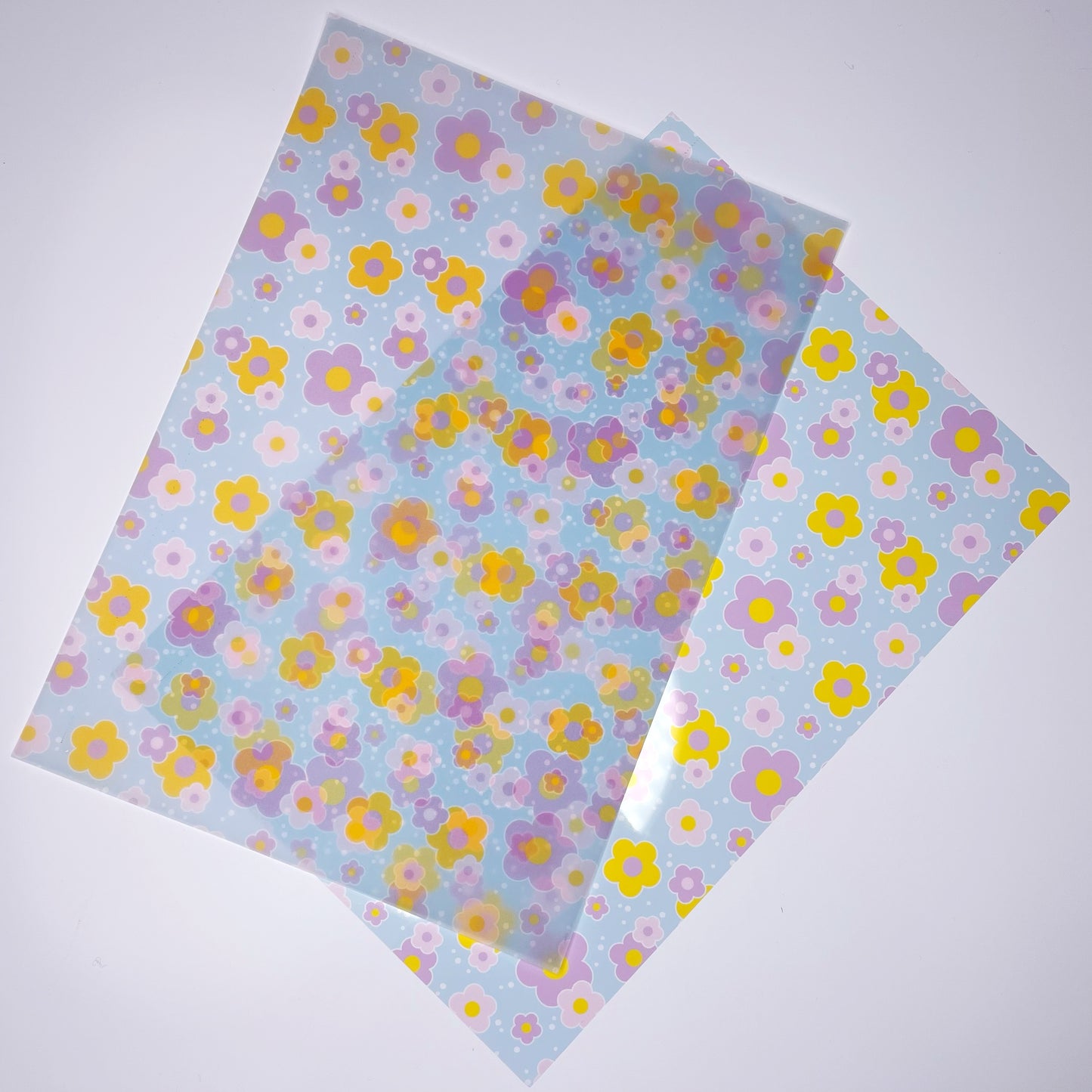 Fresh As A Daisy | Floral Vellum & Acetate