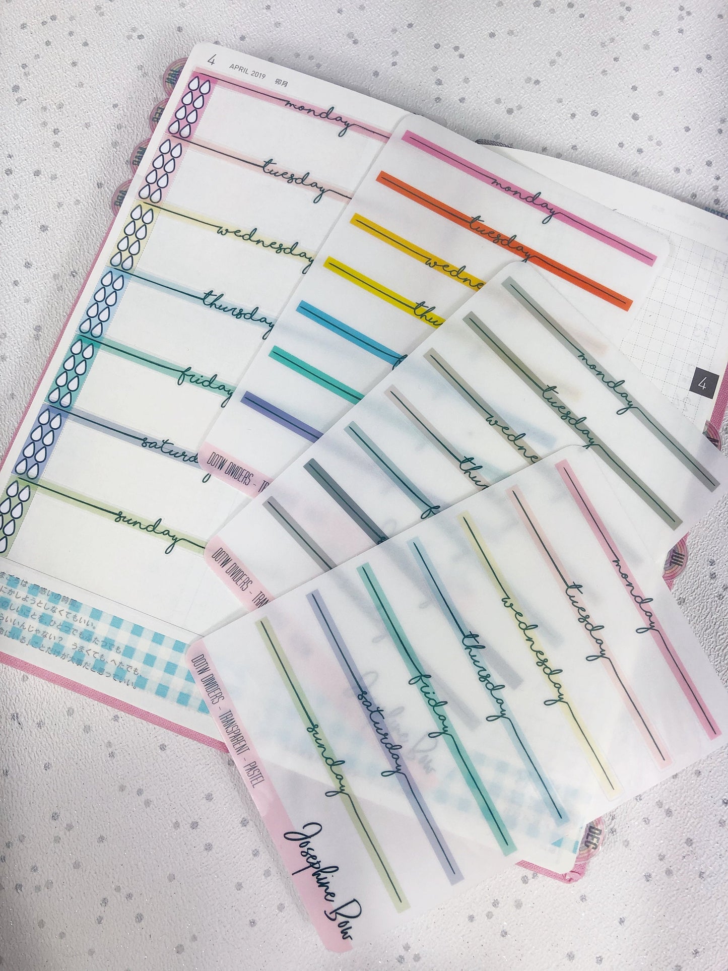 Transparent Day Dividers (4 colour options)