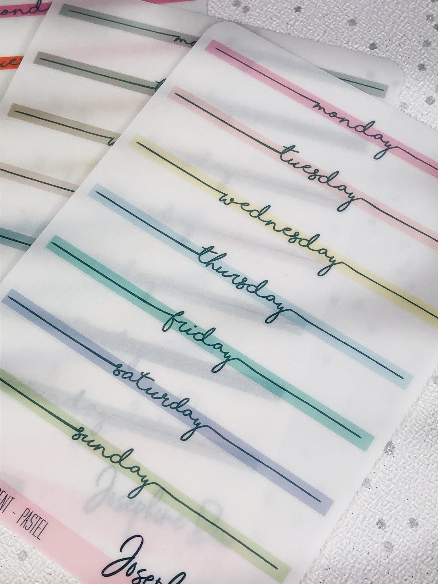 Transparent Day Dividers (4 colour options)